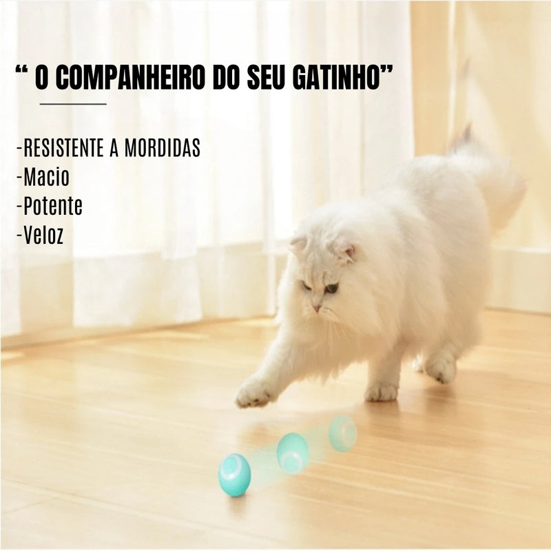 Bola mágica rolante automática para gato